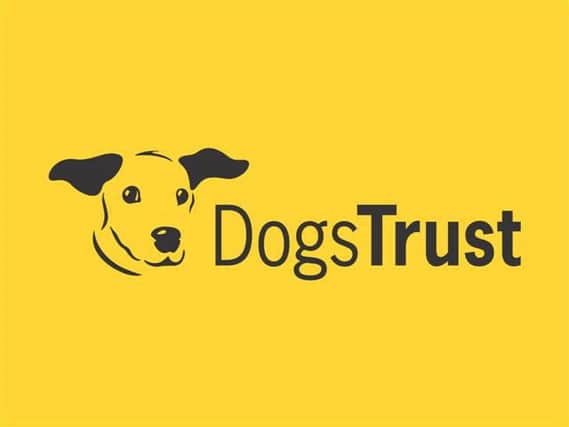 The Dogs Trust search for abandoned dog didn't have a happy ending