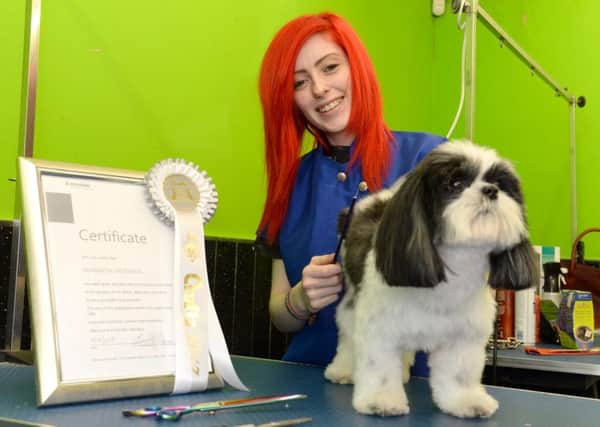 Shannon McKenna gets to work on Bonnie the Shihtzu as she shows off the Aesculap Scholarship prize she picked up at Crufts.