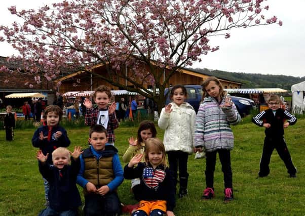 Family fun at Blossom Day at Overton Farm (Pics by Rodger Price)