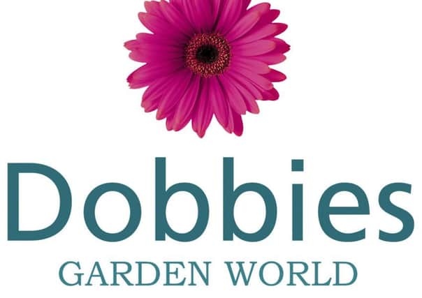Dobbies Easter event