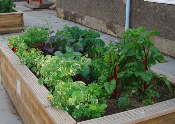 Residents are being asked if they'd like the opportunity to grow their own food.