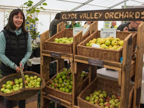 The move to restore the Clyde Valley orchards will be featured on the programme (Pic Sarah Peters)