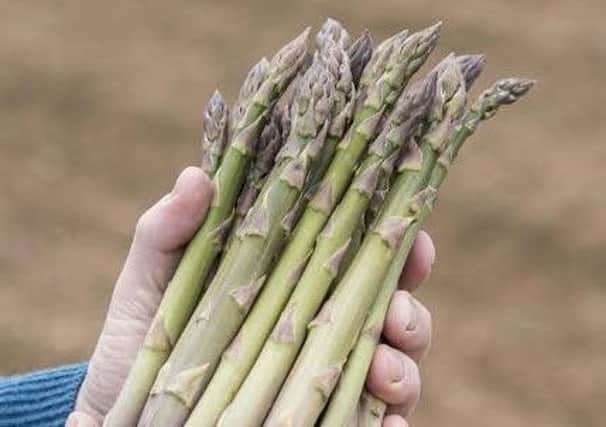 Scottish asparagus is going to be available in Waitrose.