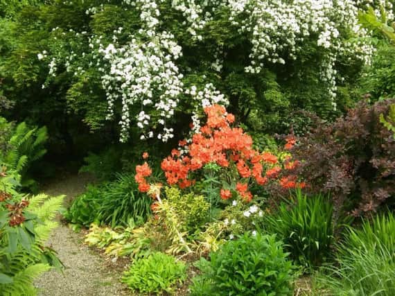Quothquan garden