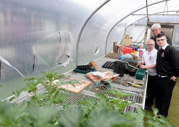 Pupils inspect damage in the polytunnel