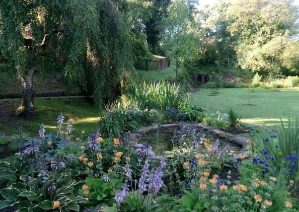The new bog garden, with its little pond.
