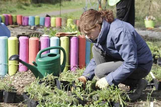 Members of Cumbernauld Living Landscape's Natural Connections project have been involved in planting native flowers in preparation for Beautiful Scotland.