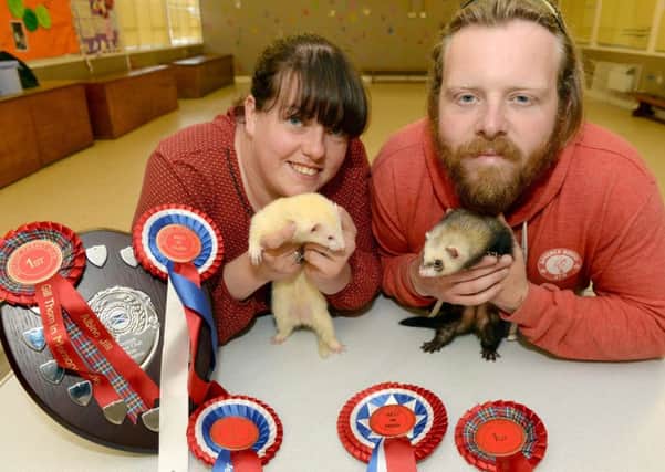 Jo Maguire, holding Brooklyn, and Reg Armstrong, holding Jersey, show off all the prizes they took home from their debut appearance  at The Scottish Ferret Clubs summer show. Pic: Alan Watson