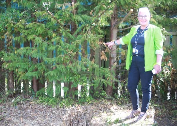 Motherwell South East and Ravenscraig councillor Agnes Magowan asked for overgrown trees and shrubs in Dalzell Drive to be dealt with