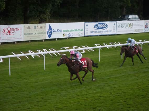 Sepal wins the 7.35pm Silver Bell race at Hamilton Park on Friday night (Pic by Jamie Forbes)