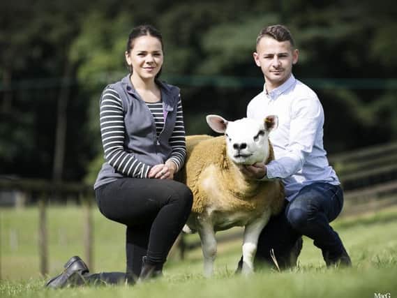 Rosie and Tom Boden with the 130,000gn ram lamb. (Pic MacGregor Photography)