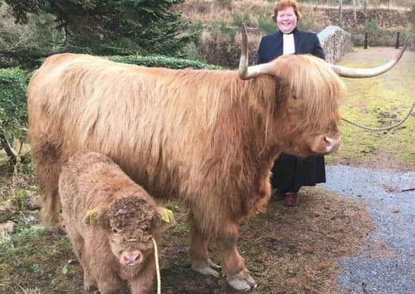 Rev Elspeth McKay with the Highland cow and her calf