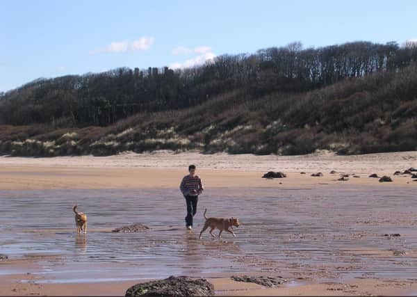 Dog owners are being encouraged to treat their pets for this year's World Animal Day.