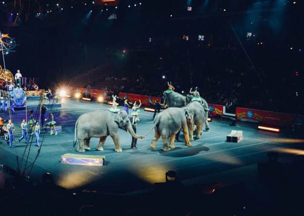 The Circus Bill will end the use of wild animals in travelling circuses in Scotland.