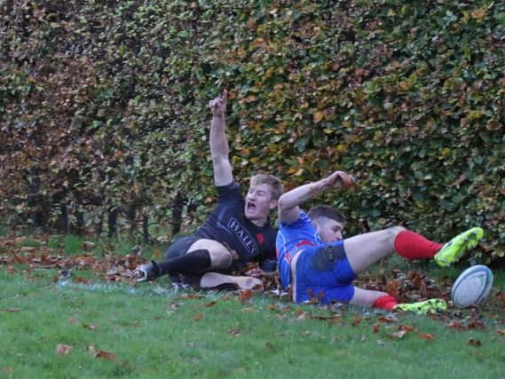 Aly Sinclair lets everyone know hes scored after sliding into a hedge (Pics by Nigel Pacey)