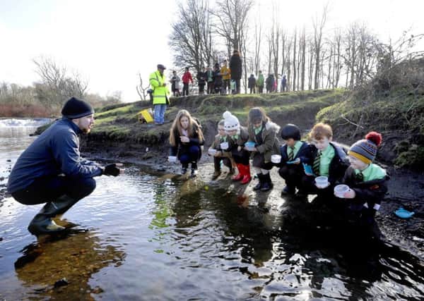 Pascal Lovell leads the fish fry release at the White Cart Water, Pollok Country Park, with pupils.