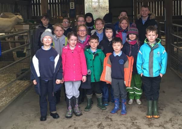 The children from Auchengray Primary enjoying their day out at Almond Valley.