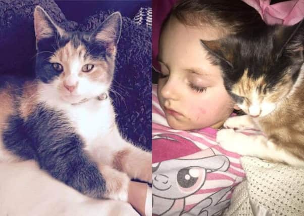 Five-year-old Khianna has been heartbroken since her cat Precious disappeared back in January