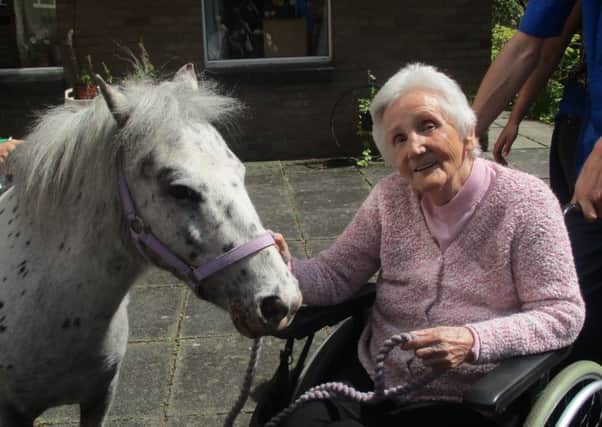 The Therapy Ponies were a big success at Eastwoodhill Care Home.