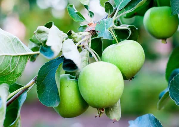 Gardening volunteers needed to help with cleanup.
