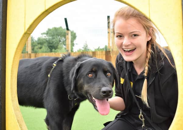 Zoe James with Burly, who hopes his time in foster care will improve his chances of finding his forever home. Pic: Kayleigh Docherty