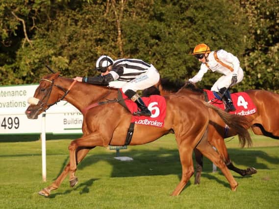 Archi's Affaire storms to victory in Lanark Silver Bell