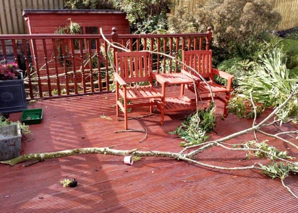 George Robertson took a picture of the large tree branch that he narrowly avoided being hit by last week