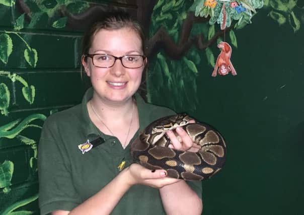 Sam Haworth, education officer at Amazonia, with one of the tropical snakes