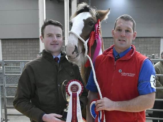 Supreme Champion Lutherington Butterfly with owner Harry Emmerson and handler Pete Black