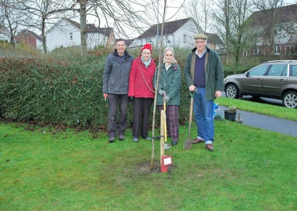 Committee members planted the tree earlier this month.