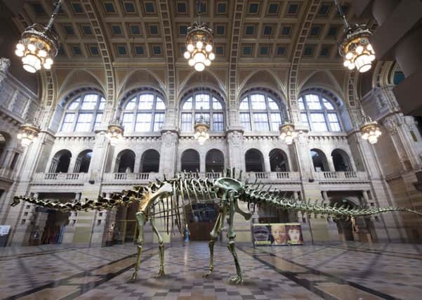 Dippy will be officially unveiled at Kelvingrove Museum on Tuesday, January 22. (Photo:  Alan Harvey / SNS Group)