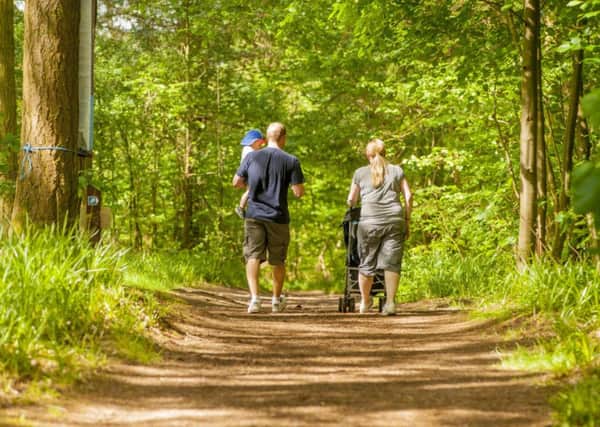 On the trail...the nature reserve in the heart of Clydesdale is no longer a hidden jewel in the crown as more and more people are discovering its treasures. (Pic: Scottish Wildlife Trust).