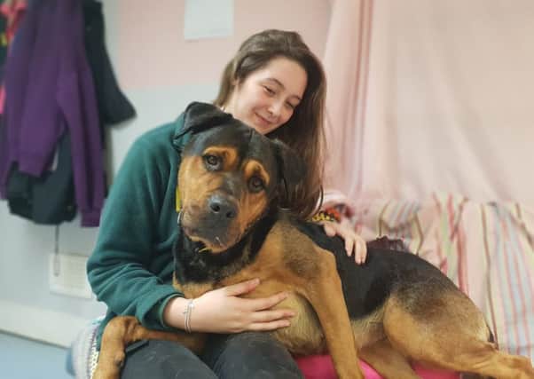 Sheera loves to be close to people as Dogs Trust Glasgow canine carer Nicole finds out