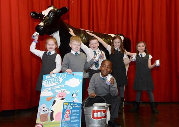 Bella the cow helps launch the new North Lanarkshire-wide initiative to encorage primary school pupils to drink more milk