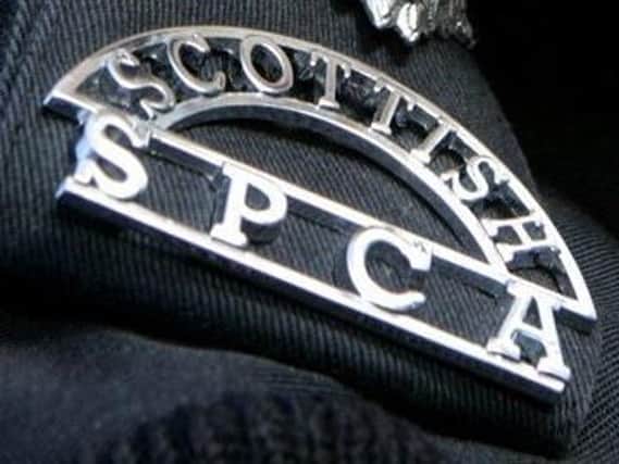 The SSPCA is keen to hear from anyone who may have information