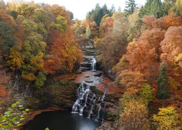Falls of Clyde wins BBC Resreve of the year 2019