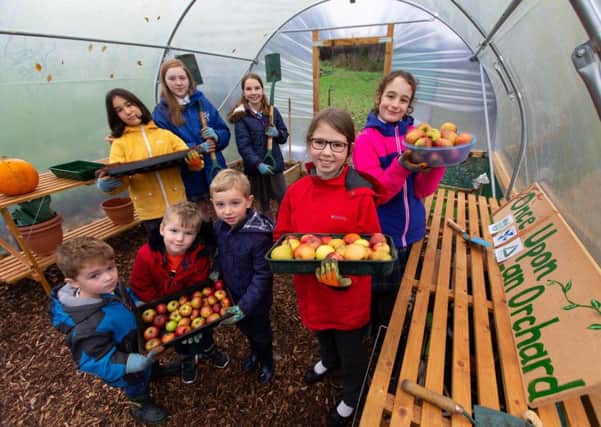 Pupils at Milngavie Nursery and Primary School are celebrating almost two years of growing organic fruit and veg