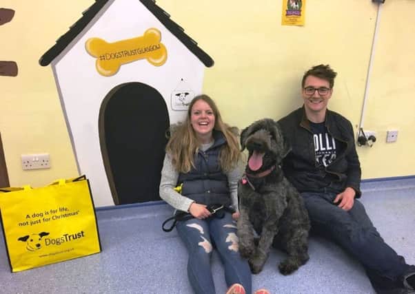 Claire and David with Poppy, the 100th dog to be found a new home by the Dogs Trust in Glasgow this year.