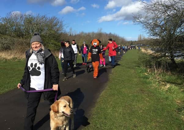 The previous Mutt Strut, held in Fife, was a big success. Pic: SSPCA