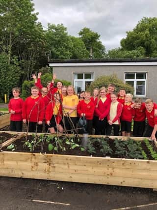 Douglas PS pupils help plant Lady Home Hospital Garden. July 2019