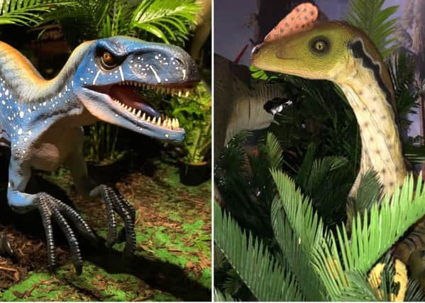 Ferocious Deinonychus and Dilong Paradoxus will be on show at The Avenue, Newton Mearns