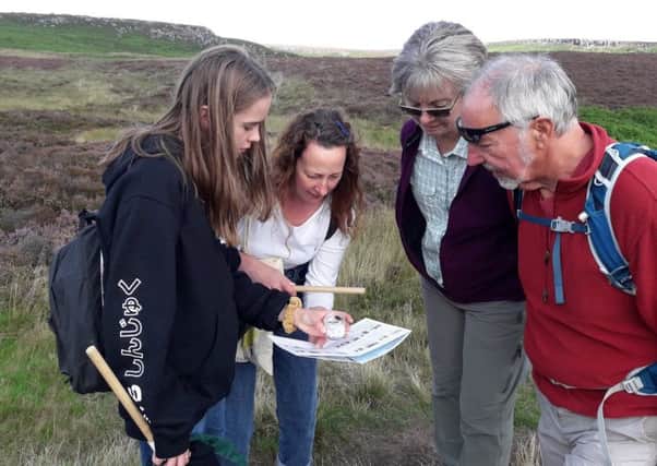Volunteers gather vital data about bumblebees on a BeeWalk survey.