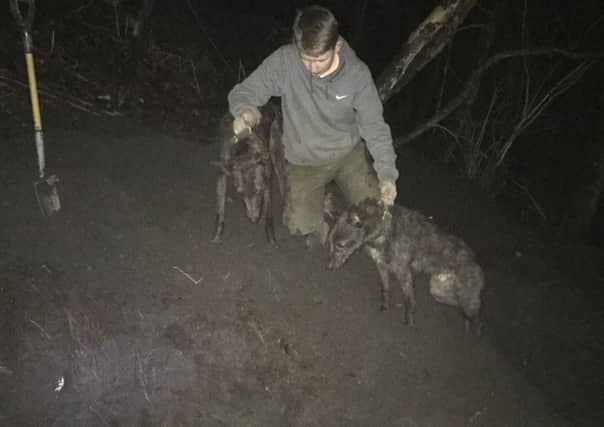 Among the evidence was pictures of Connor Conran with his dogs at a badger sett
Pic: Scottish SPCA